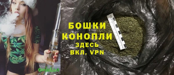 стафф Майский