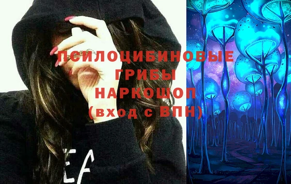 apvp Лихославль