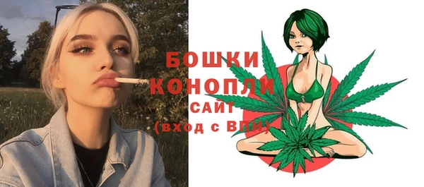 apvp Лихославль